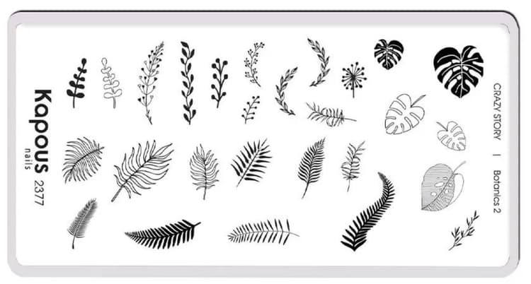 Kapous Nails Пластина для стемпинга "Crazy story" Botanics 2