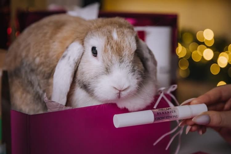 Идеальный маникюр с гелем для ногтей от Berenice