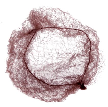 Dewal Сеточка-паутинка для прически, 2шт/уп, темно-коричневая 
